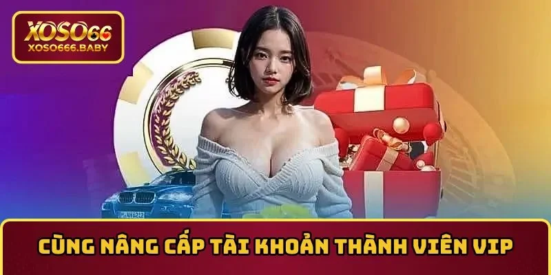 Cùng nâng cấp tài khoản thành viên Vip