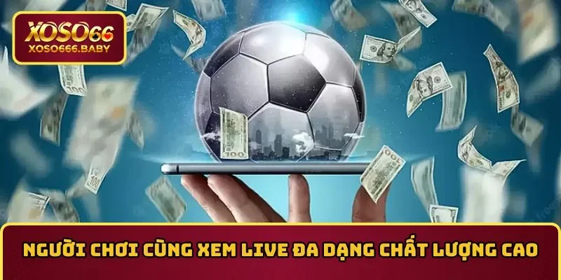 Người chơi cùng xem live đa dạng và chất lượng cao